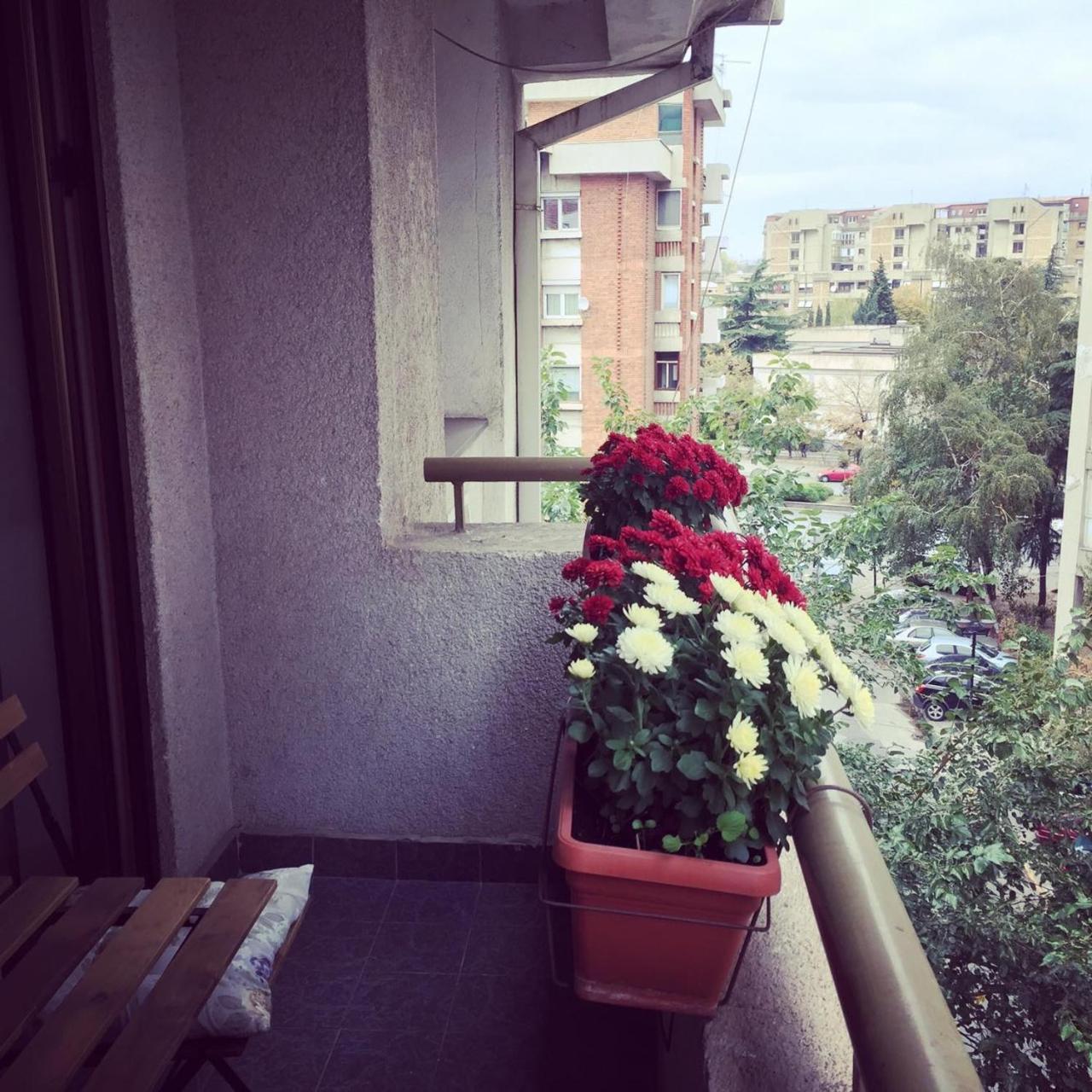 3 Bedroom Home With Parking Garage In The Heart Of Skopie Exterior foto